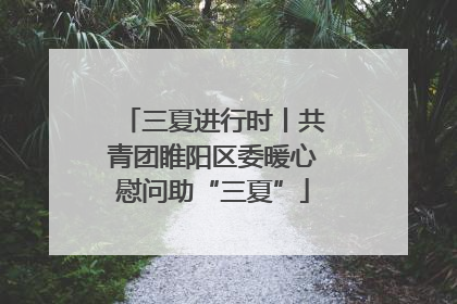 三夏进行时丨共青团睢阳区委暖心慰问助“三夏”
