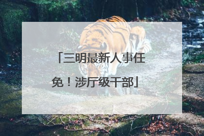 三明最新人事任免！涉厅级干部