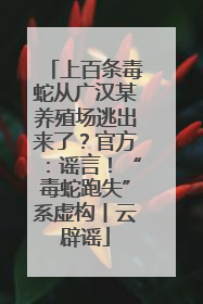 上百条毒蛇从广汉某养殖场逃出来了？官方：谣言！“毒蛇跑失”系虚构丨云辟谣
