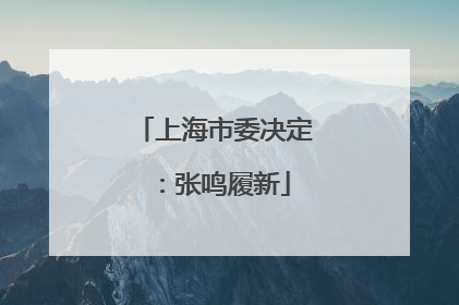 上海市委决定：张鸣履新