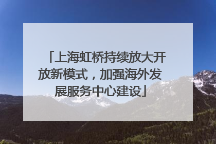 上海虹桥持续放大开放新模式，加强海外发展服务中心建设