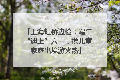 上海虹桥边检：端午“遇上”六一，携儿童家庭出境游火热