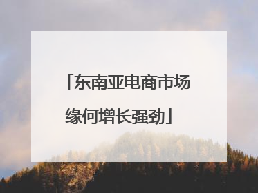 东南亚电商市场缘何增长强劲