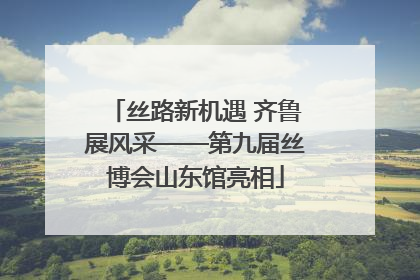 丝路新机遇 齐鲁展风采——第九届丝博会山东馆亮相