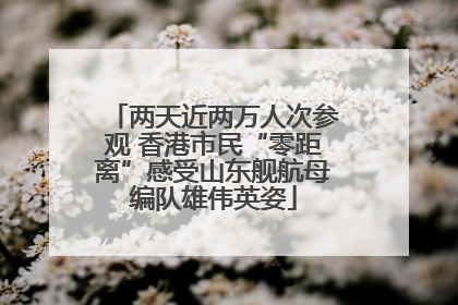 两天近两万人次参观 香港市民“零距离”感受山东舰航母编队雄伟英姿