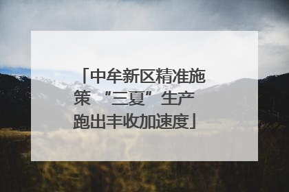 中牟新区精准施策 “三夏”生产跑出丰收加速度