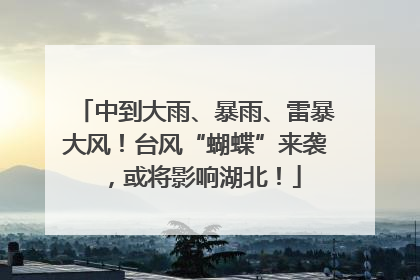 中到大雨、暴雨、雷暴大风！台风“蝴蝶”来袭，或将影响湖北！