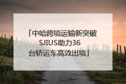中哈跨境运输新突破 SJIUS助力36台轿运车高效出境