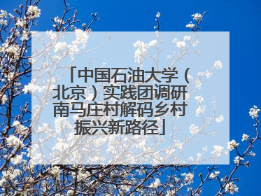 中国石油大学（北京）实践团调研南马庄村解码乡村振兴新路径