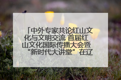 中外专家共论红山文化与文明交流 首届红山文化国际传播大会暨“新时代大讲堂”在辽宁朝阳举办