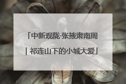 中新观陇·张掖肃南周｜祁连山下的小城大爱