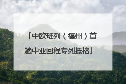 中欧班列（福州）首趟中亚回程专列抵榕