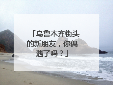 乌鲁木齐街头的新朋友，你偶遇了吗？
