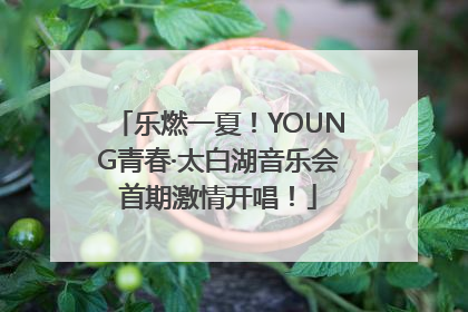 乐燃一夏！YOUNG青春·太白湖音乐会首期激情开唱！