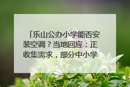 乐山公办小学能否安装空调？当地回应：正收集需求，部分中小学已启动安装｜云求助