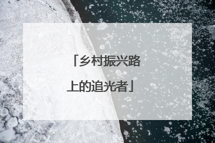 乡村振兴路上的追光者