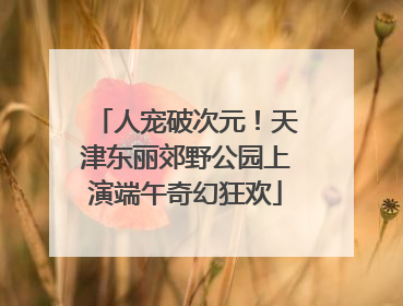 人宠破次元！天津东丽郊野公园上演端午奇幻狂欢