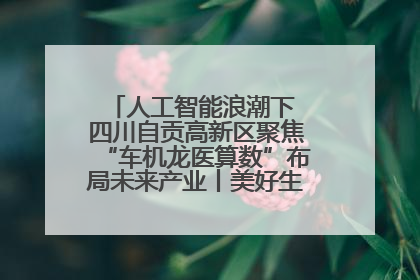 人工智能浪潮下 四川自贡高新区聚焦“车机龙医算数”布局未来产业丨美好生活有“盐”味