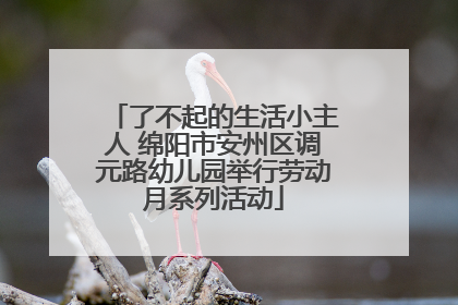 了不起的生活小主人 绵阳市安州区调元路幼儿园举行劳动月系列活动