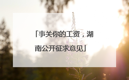 事关你的工资，湖南公开征求意见