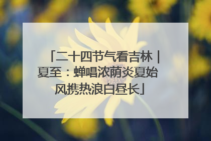 二十四节气看吉林｜夏至：蝉唱浓荫炎夏始 风携热浪白昼长