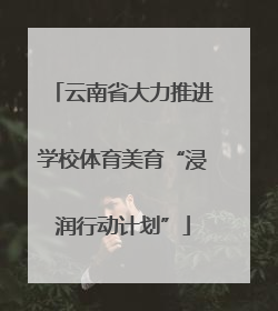 云南省大力推进学校体育美育“浸润行动计划”