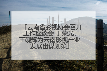 云南省影视协会召开工作座谈会 于荣光、王砚辉为云南影视产业发展出谋划策