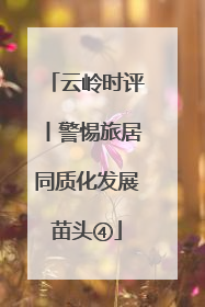 云岭时评丨警惕旅居同质化发展苗头④