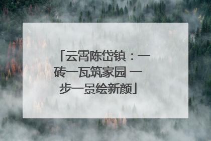云霄陈岱镇：一砖一瓦筑家园 一步一景绘新颜