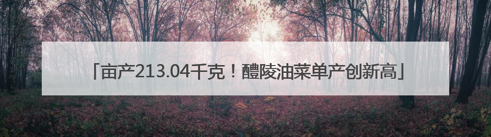 亩产213.04千克！醴陵油菜单产创新高