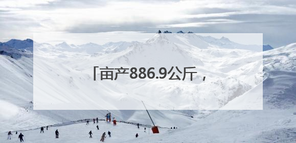 亩产886.9公斤，再创新高！6月25日，青岛夏收夏种全部结束