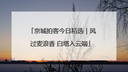 京城拍客今日精选｜风过麦浪香 白塔入云端