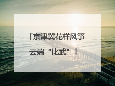 京津冀花样风筝云端“比武”