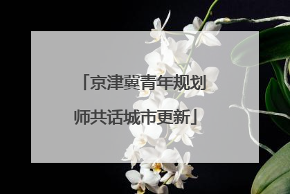 京津冀青年规划师共话城市更新