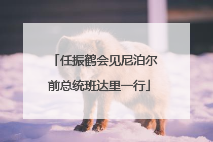 任振鹤会见尼泊尔前总统班达里一行