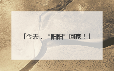 今天，“阳阳”回家！