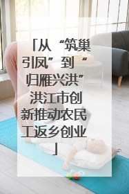 从“筑巢引凤”到“归雁兴洪” 洪江市创新推动农民工返乡创业