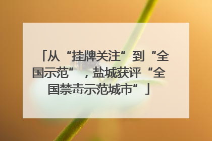 从“挂牌关注”到“全国示范”，盐城获评“全国禁毒示范城市”
