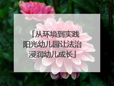 从环境到实践 阳光幼儿园让法治浸润幼儿成长