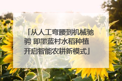 从人工弯腰到机械驰骋 即墨蓝村水稻种植开启智能农耕新模式