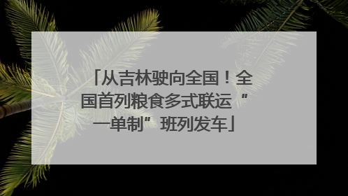 从吉林驶向全国！全国首列粮食多式联运“一单制”班列发车