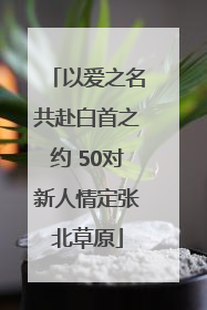以爱之名共赴白首之约 50对新人情定张北草原