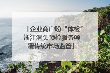 企业商户盼“体检” 浙江洞头预检服务颠覆传统市场监管