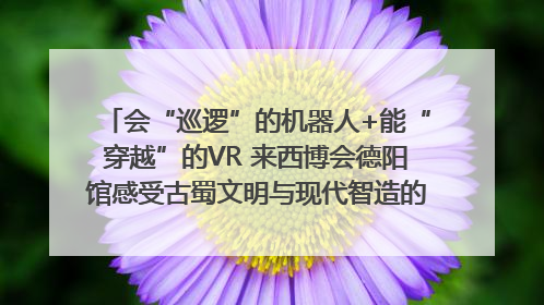 会“巡逻”的机器人+能“穿越”的VR 来西博会德阳馆感受古蜀文明与现代智造的时空对话｜西博视界
