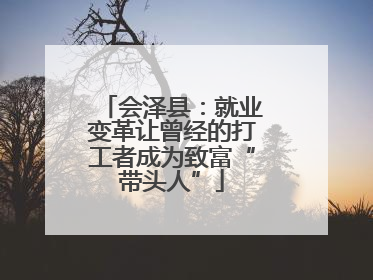 会泽县：就业变革让曾经的打工者成为致富“带头人”