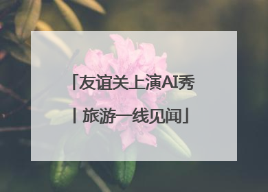 友谊关上演AI秀丨旅游一线见闻
