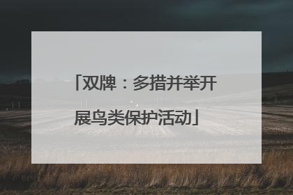 双牌：多措并举开展鸟类保护活动