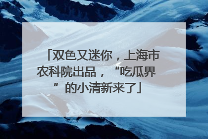 双色又迷你，上海市农科院出品，“吃瓜界”的小清新来了