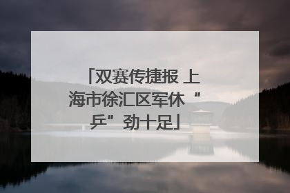 双赛传捷报 上海市徐汇区军休“乒”劲十足