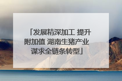 发展精深加工 提升附加值 湖南生猪产业谋求全链条转型